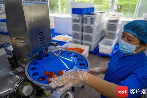 中秋月圆前奏曲 海口老牌食品厂马力全开，烘出琼岛团圆味