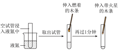 自然界的循环工厂 氧气与二氧化碳的平衡之旅